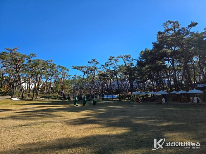 청주시, 솔밭‧장구봉근린공원 시설개선 사업