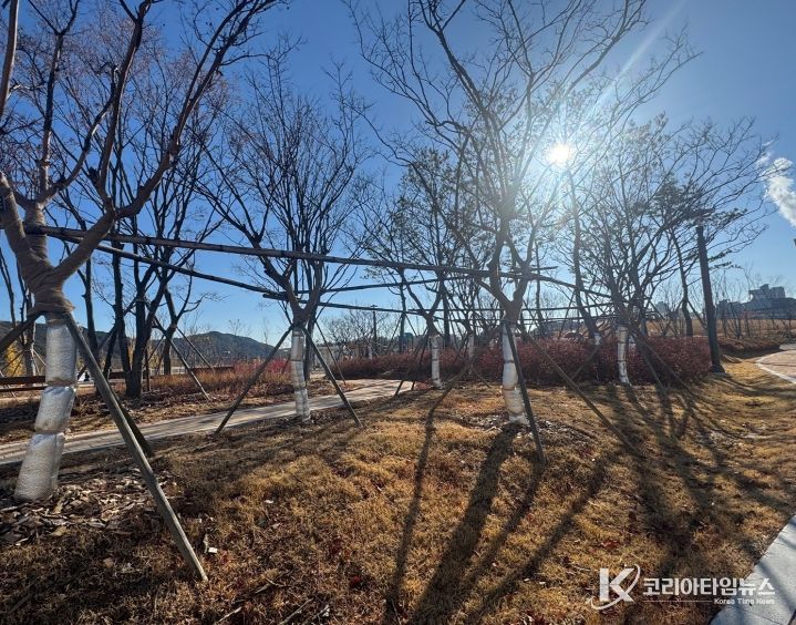 대전시 가로수 보온․가림막 설치