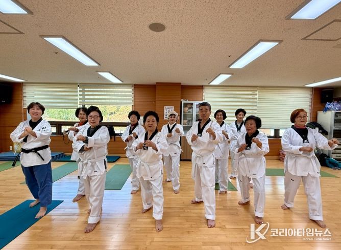 ‘활력 실버 태권도’ 프로그램