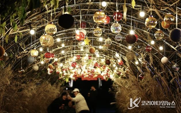 2025함평겨울빛축제 전경