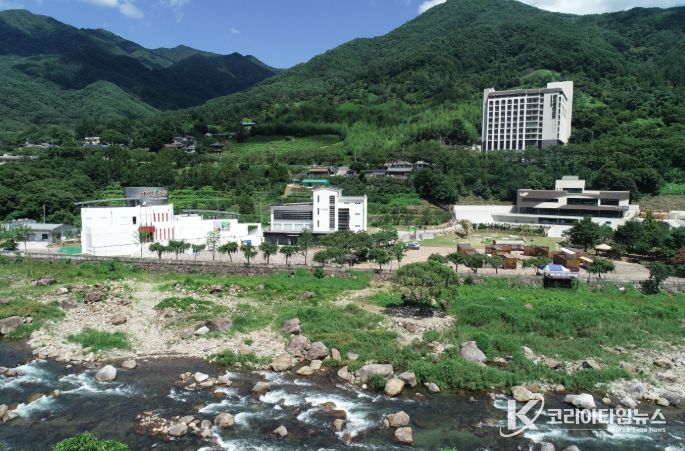 세계로 번지는 하동차(茶)의 가능성