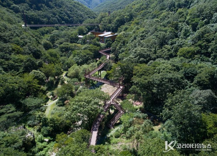 금산산림문화타운