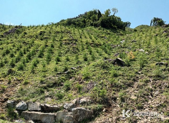 거창군, 2025년 경남도 산림자원분야 ‘최우수’기관 선정