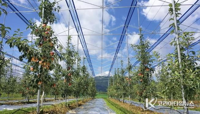 보은군, 스마트 과수원 특화단지 조성 공모사업 선정...충북 최초 스마트 과수원 특화단지 조성