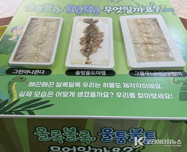 뱀 허물 만지기 체험
