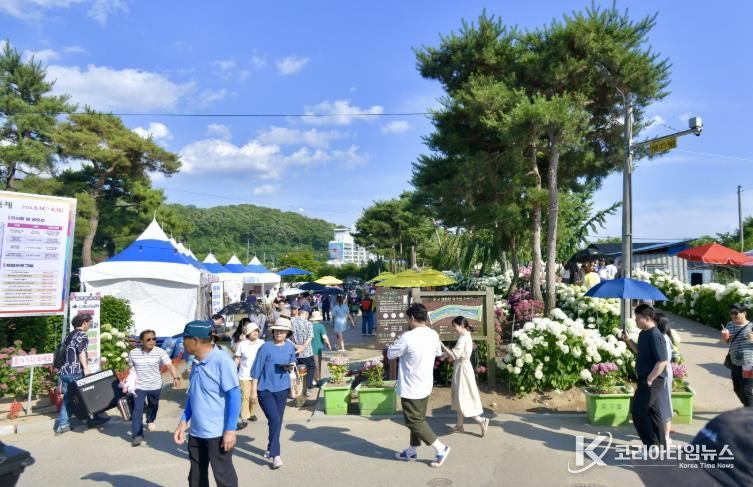 생활인구 자료사진__공주 유구색동수국정원 꽃 축제