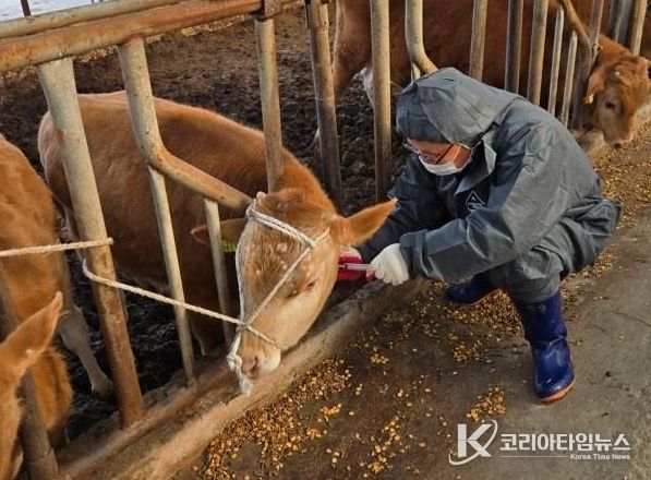 정읍시 2026년도 공수의 공개 모집