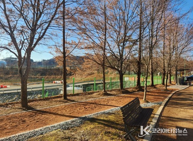 영월군 스포츠파크 맨발걷기 길 조성