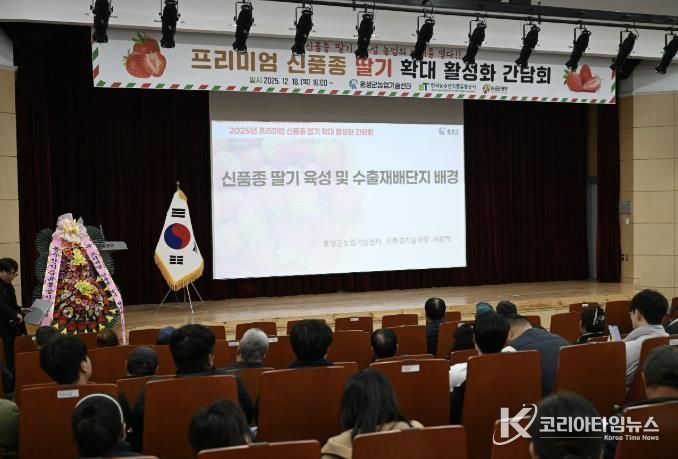 프리미엄 신품종 총집결...홍성, 차세대 딸기산업 날개 달다!