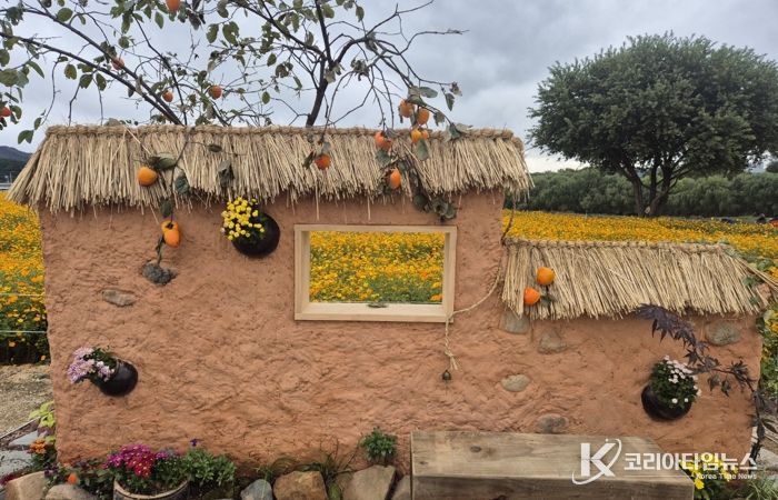 2025 대구정원박람회 전시 당시 사진