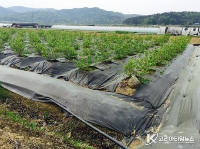 파주시, 2026년 환경친화형 농자재 지원사업 신청 시작