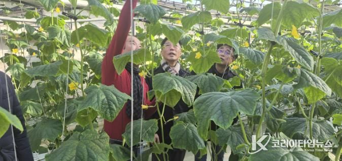 상주시, 새해 농사의 시작을 알리는 1월 시설 하우스 방문