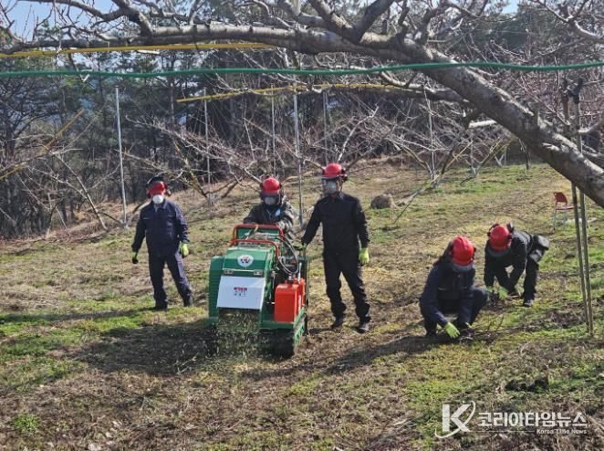 보성군, 2026년‘영농부산물 파쇄지원’ 신청 접수_파쇄지원단이 벌교읍 배 과원에서 잔가지 파쇄작업을 하고 있다