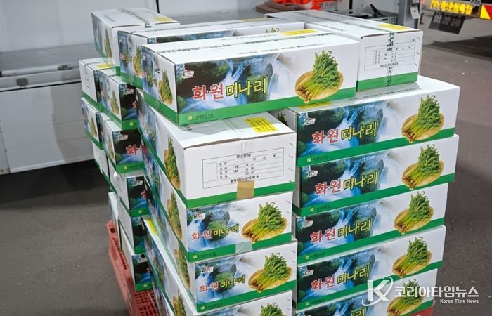 달성군 화원 미나리, 가락시장에 떴다