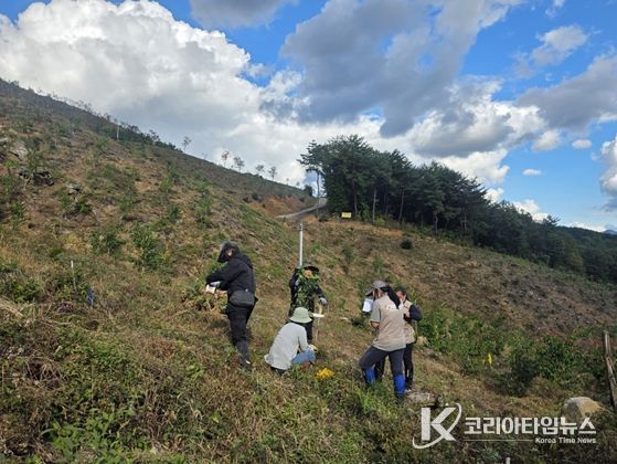현장 중심 산림소득 수종 연구