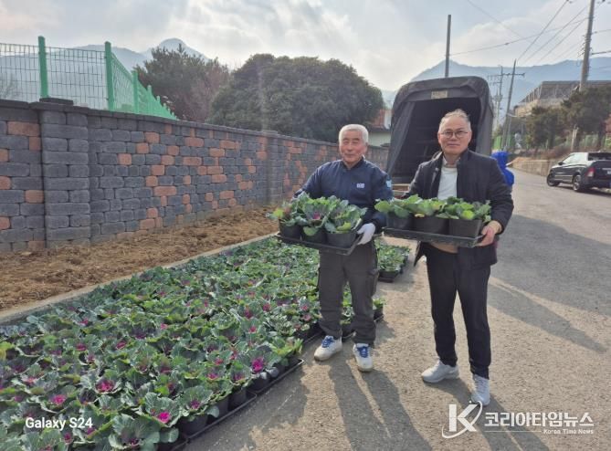 남해군 보천육묘장 하경원 대표, 꽃양배추 2,000본 기증