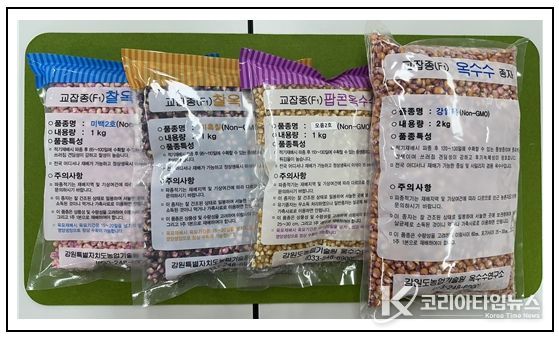 농업기술원 옥수수연구소 보급형 옥수수 품종