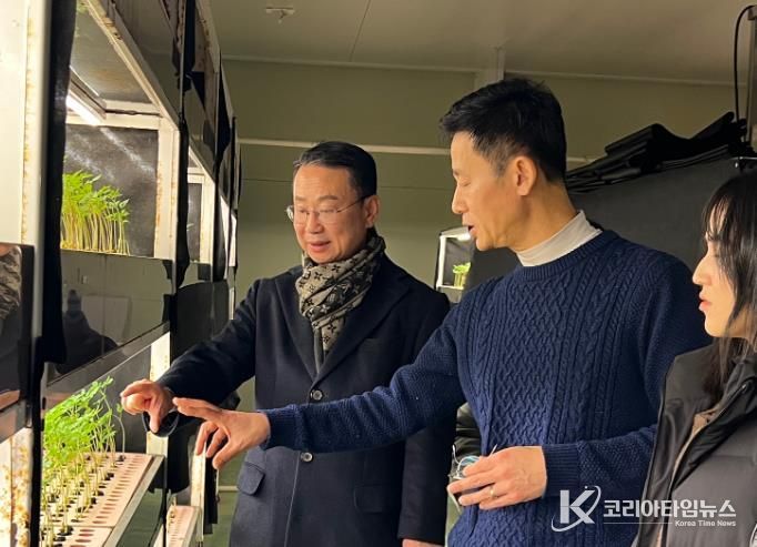 영광군에서 키운 ‘새싹인삼’ 일본 수출 본격적으로 추진