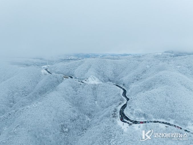 2월의 추천여행지’, 고원설경의 대관령 옛길