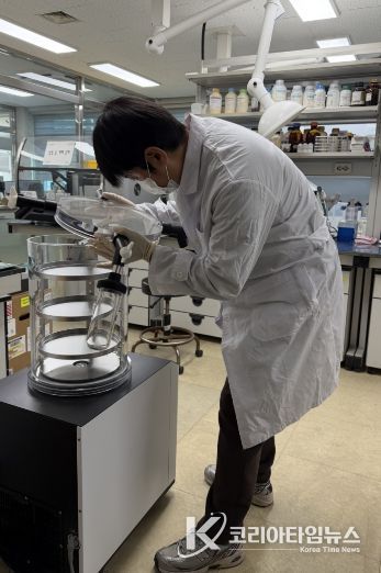 인삼 뿌리썩음병 진단 모습