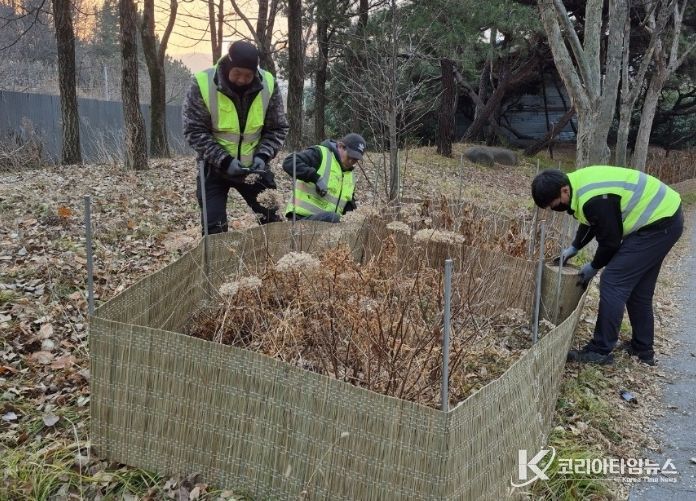 가로수와 녹지대 집중 정비