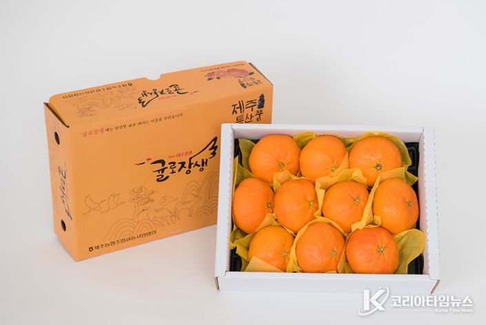 제주시 만감류 설 선물세트