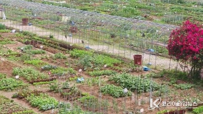 광명시민주말농장.