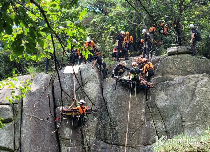 구조·생활안전 출동 분석 결과 출동건수 감소