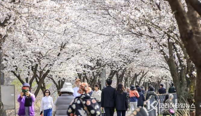 양평군, 제9회 갈산누리봄 축제 체험·마켓 부스 모집