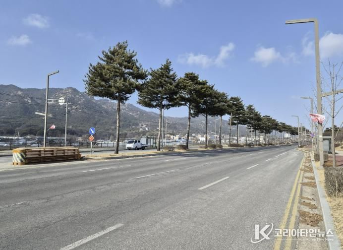 홍성군 내포신도시 관문 '도청대로' 장송 전정