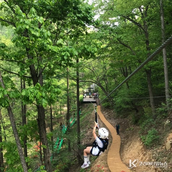 좌구산휴양랜드 산림레포츠시설 ‧ 캠핑장 3월 1일 개장