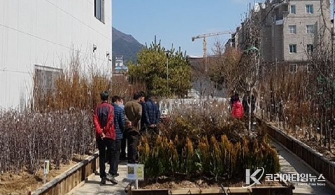 고창군산림조합, 2026년 나무시장 개장