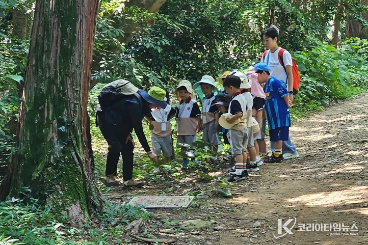 유아숲 교육 프로그램 활동