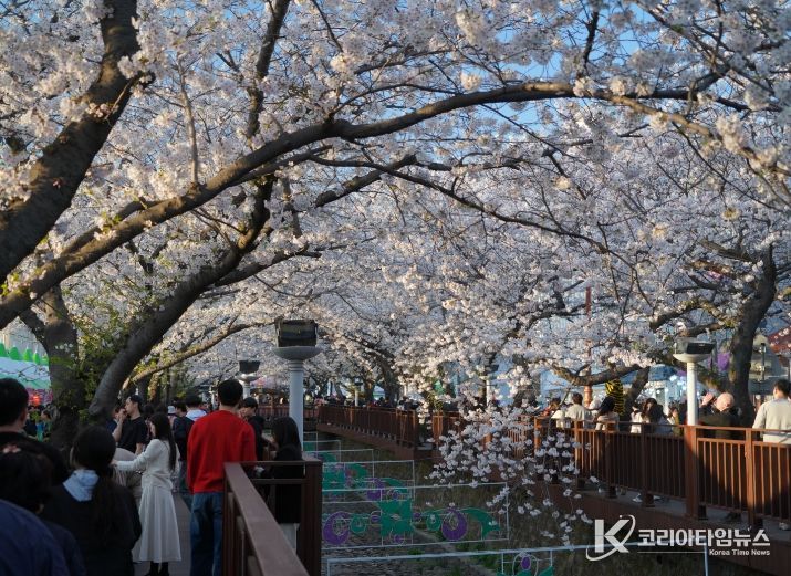 대표 봄 축제 진해군항제, 문체부 예비축제 지정