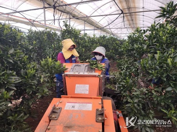 농번기 파쇄기 사용