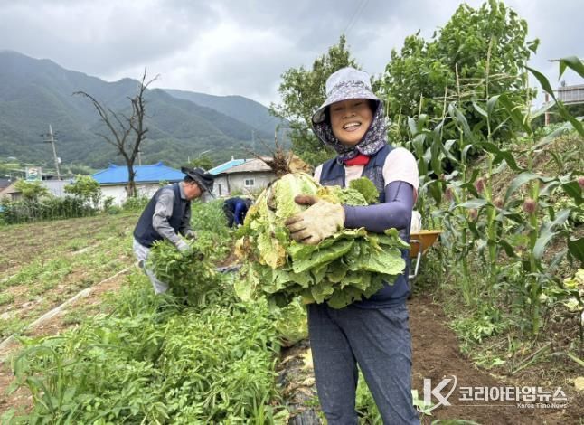 지난해 단양에서 살아보기 체험 모습