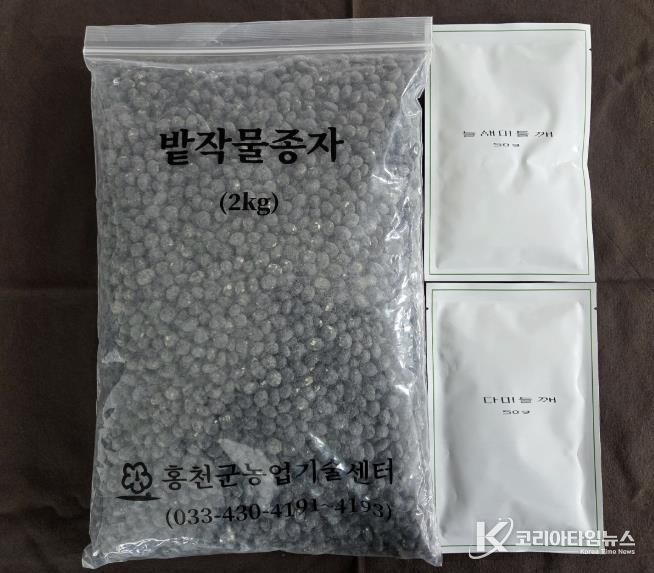 홍천군, 씨감자 안정 공급 및 자체 채종 밭작물(들깨, 재래 서리태) 종자 보급