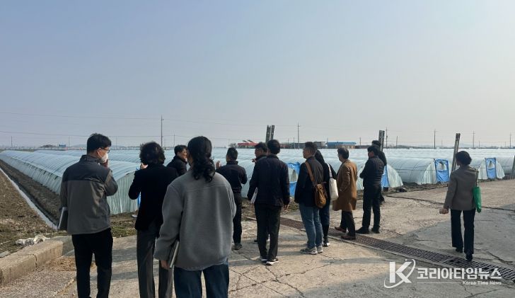 시설감자 작황 및 출하 전망 현장행정 실시