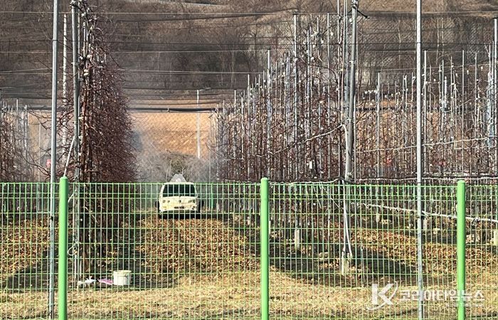안동시, 사과․배 농가 과수화상병 예방 방제 추진