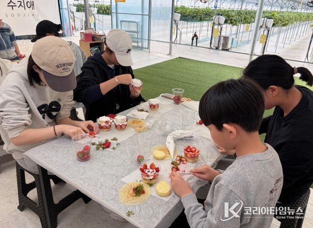 관내 청소년 30명 참여, 지역 농가 방문해 딸기 수확 및 요리체험