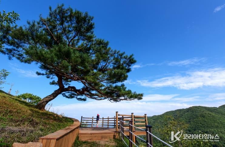“숲속 힐링 여행 89만여 명 다녀갔다.” 숲이 건네는 위로 K-산림치유 인기(국립산림치유원 전망데크 전경)