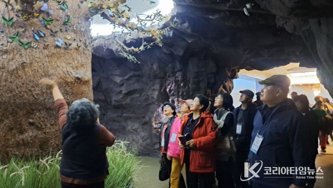 2026년 1차 문화여행