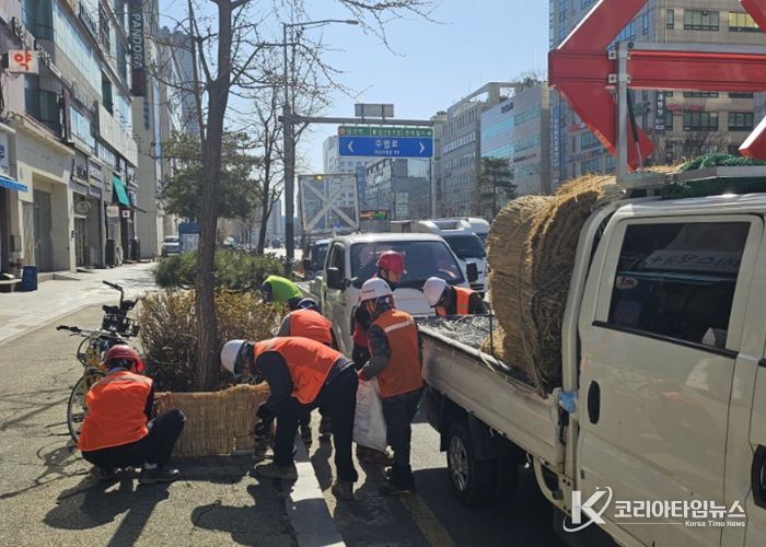 고양시 일산서구, 봄맞이 가로화단 월동시설 철거 완료