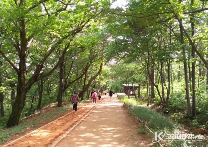 김해시 분성산 생태숲 황톳길 개장