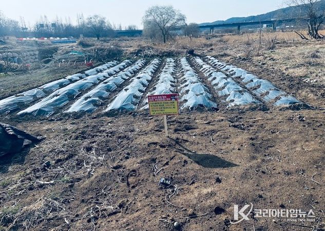 대구 북구, 금호강 불법행위 행정대집행 실시