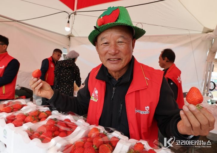 논산딸기축제 SNS인증샷 열풍