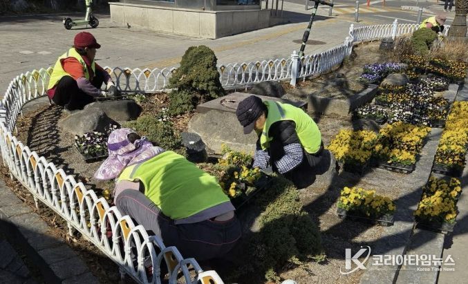 수원시 영통구, 봄꽃 식재로 도심 곳곳 '화사한 봄단장'