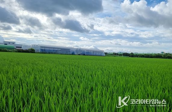 벼 발아율 저하 대비 현장지도 강화