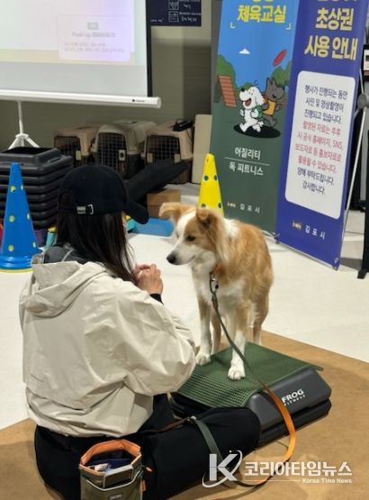 댕댕체육교실 중 독피트니스 프로그램을 진행하는 모습