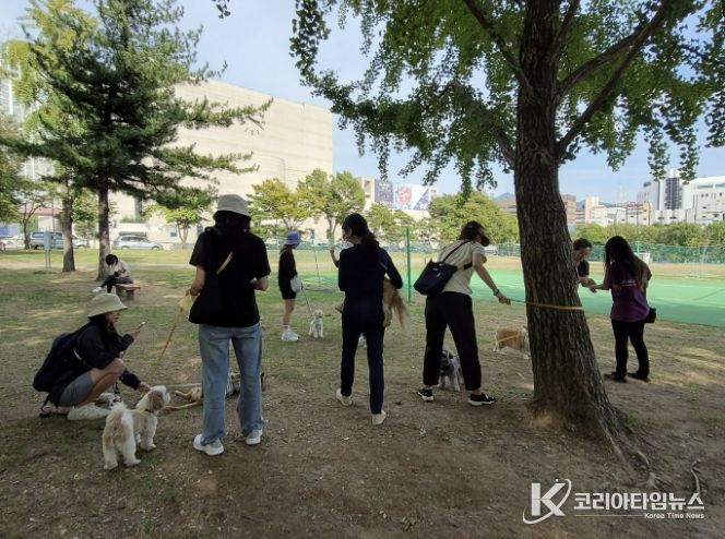 반려견과 산책하는 과천시민들 모습